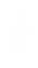 social media logo