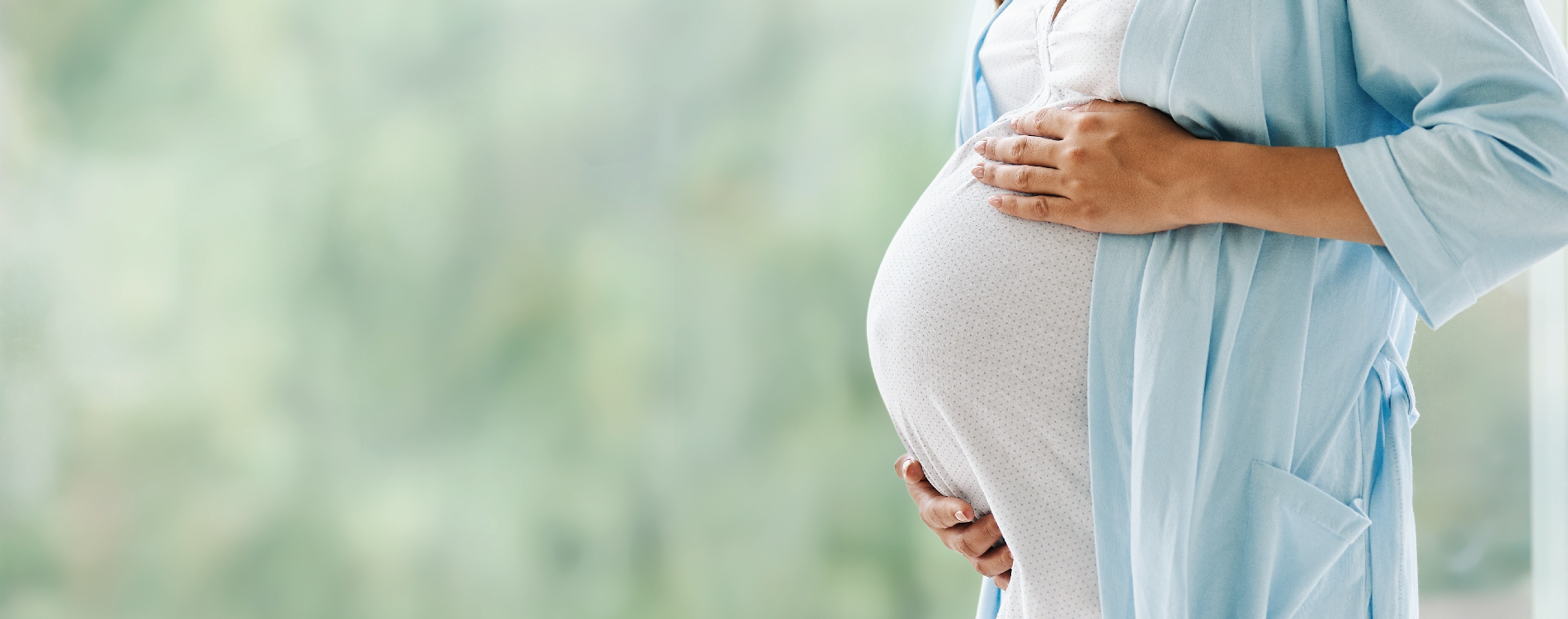 Pregnancy Care<br>Program