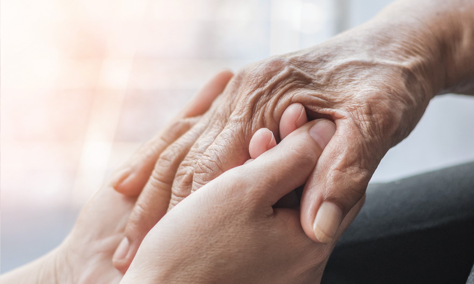 Geriatric <br> Care Services