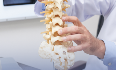 Osteoporosis <br> program